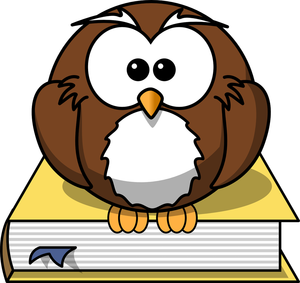 Owl sitting on a book 