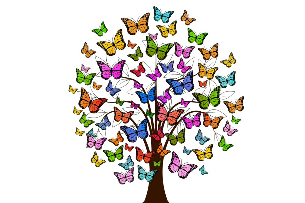 Butterflies in a tree 