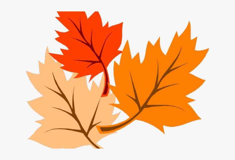 91-913895_autumn-leaves-clipart-corner-border-fall-leaves-clip (1)