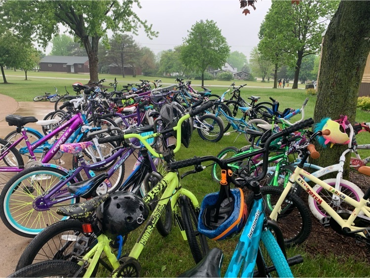 picture of bikes under a tree  